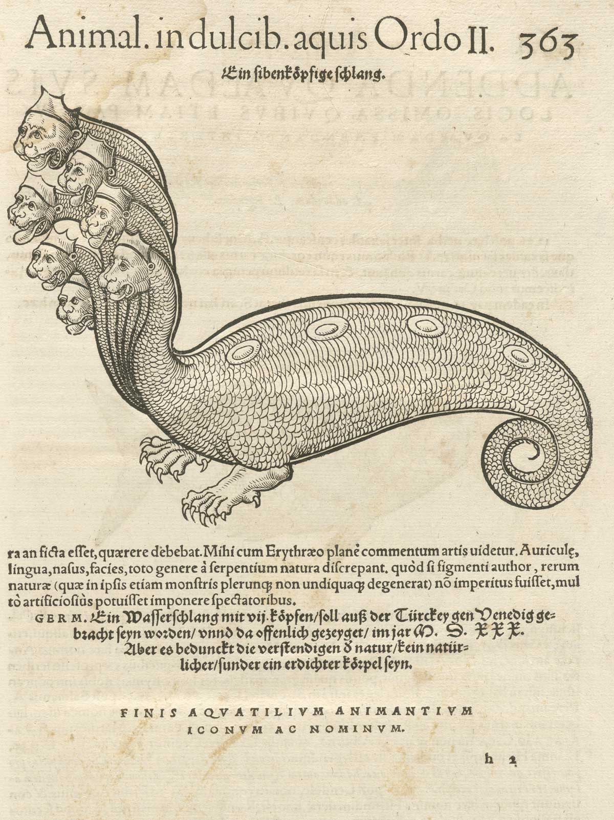 hydra_04