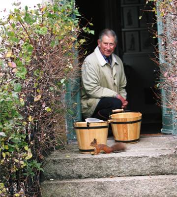 hrh2 HRH THE PRINCE OF WALES, PATRON, THE RED SQUIRREL SURVIVAL TRUST