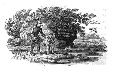 picture-2 from Bewick's Book of British Birds