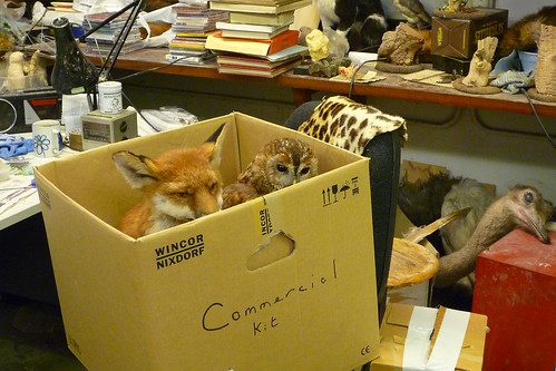 Moving Day